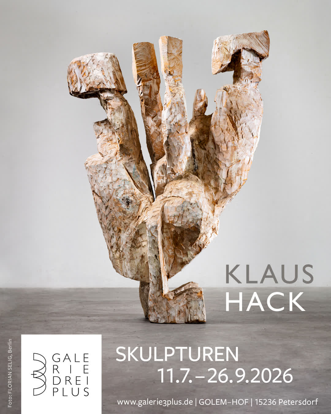 Skulpturen |  11. Juli - 26. September |  Klaus Hack | 

"Man sagt, dass die älteste Form der handwerklich-künstlerischen Gestaltgebung eines Materials die Holzbildhauerei gewesen sei. Die ältesten Zeugnisse stammen aus prähistorischer Zeit. Wohl keine andere Gattung der bildenden Kunst ist dem Handwerk derart eng verbunden. Jedoch hat erst die Moderne des 20. Jahrhunderts diesem Metier gleichsam zur vollendeten Autonomie verholfen. Hier beginnt die Arbeit von Klaus Hack, einem Künstler, der wie kein anderer in unseren Breiten seinem gewachsenen Material zur Eigentlichkeit verhilft, indem er es nicht vorführt, sondern in all seinen Möglichkeiten erforscht und an die Grenzen seiner skulpturalen Formbarkeit bringt. Das zeigt diese Ausstellung, die das ganze Spektrum seiner formalen wie thematischen Erfindungen exemplarisch umgreift. Die zumeist in reich instrumentierten Weißtönen gefassten, figurativen, wie architektonischen Skulpturen betonen die Spezifik des Materials, indem sie es anscheinend verbergen. So reflektiert der Bildhauer auch dessen Jahrtausende umfassende Geschichte  in ganz eigenen Formen einer Archaik, die sich als sehr zeitgenössisch erweist."
Text: Prof. Matthias Flügge. 

VERNISSAGE 11.7.2026 | Sa. 15 Uhr

Redner: Prof. Matthias Flügge
Musik:  Duo F:LAUT:E

#kunst #kunstinbrandenburg #kunstgalerie #galerie3plus #klaushack